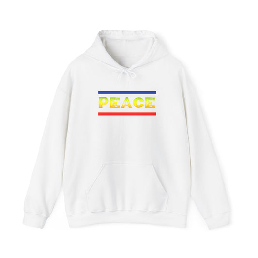 PEACE Hooded Sweatshirt Trendy Hoodie Cute hoodie Gift